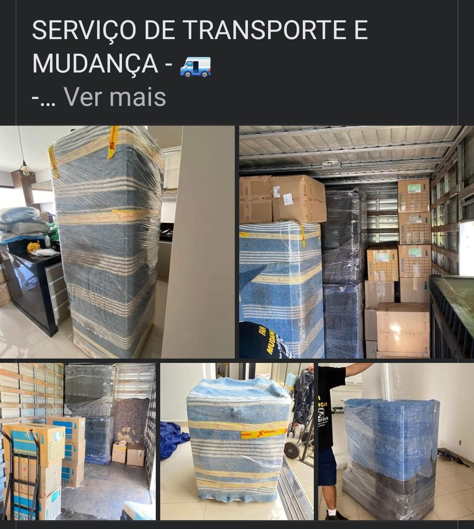 Organização