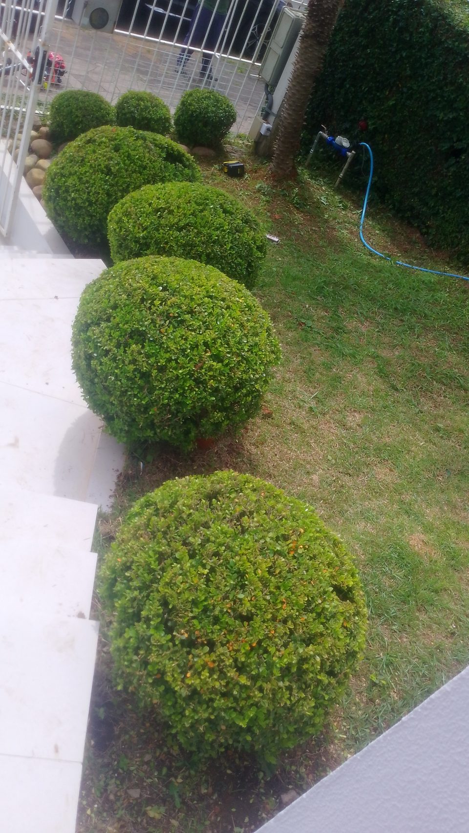 Jardinagem e paisagismo