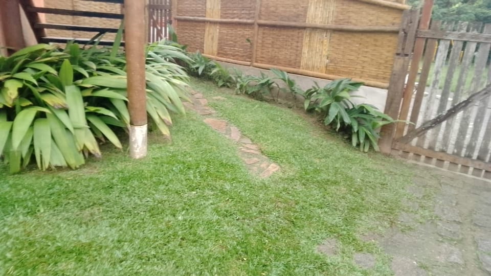 jardinagem , limpeza ,poda e etc