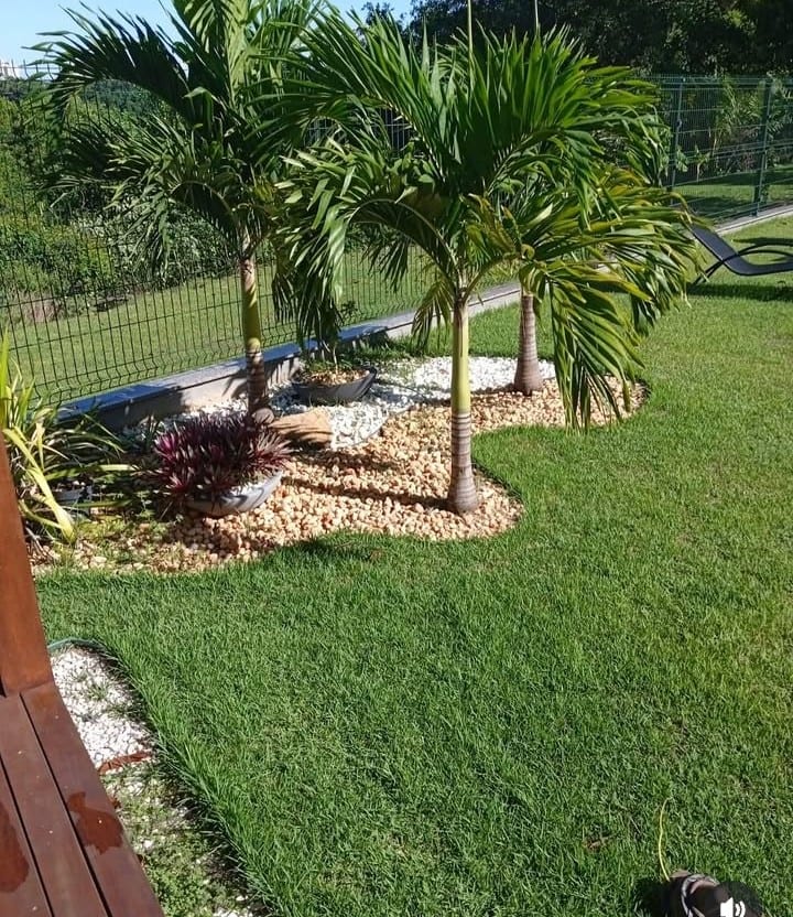 Serviços em Gerais