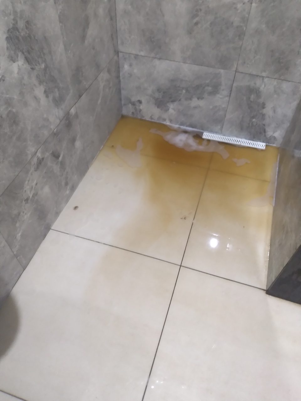 Limpeza geral e tanbem sou cozinheira forno e fogão