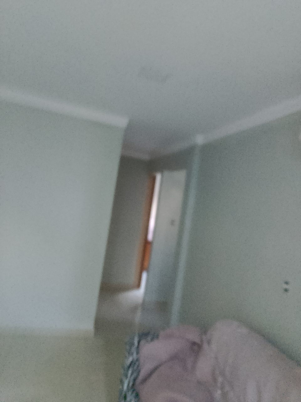 Revestimento e pintura