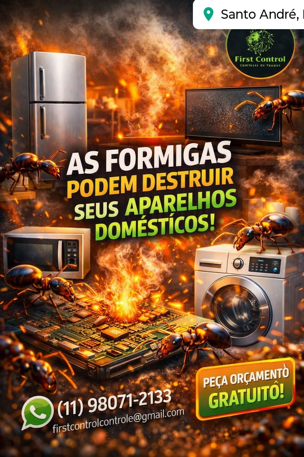 Dedetização Completa. Sua segurança é nossa maior preocupação!